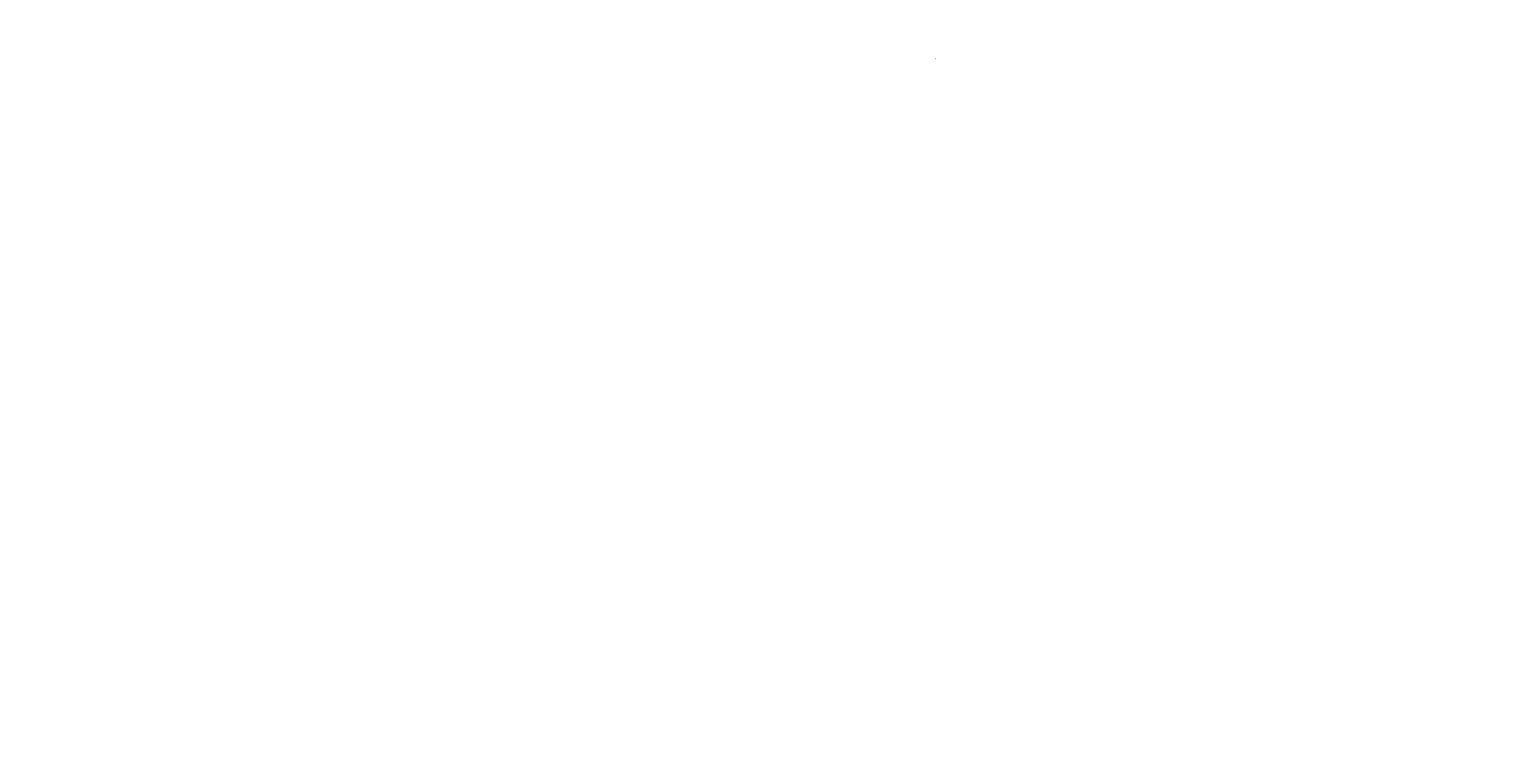 Magdalena Niziołek Fotografia